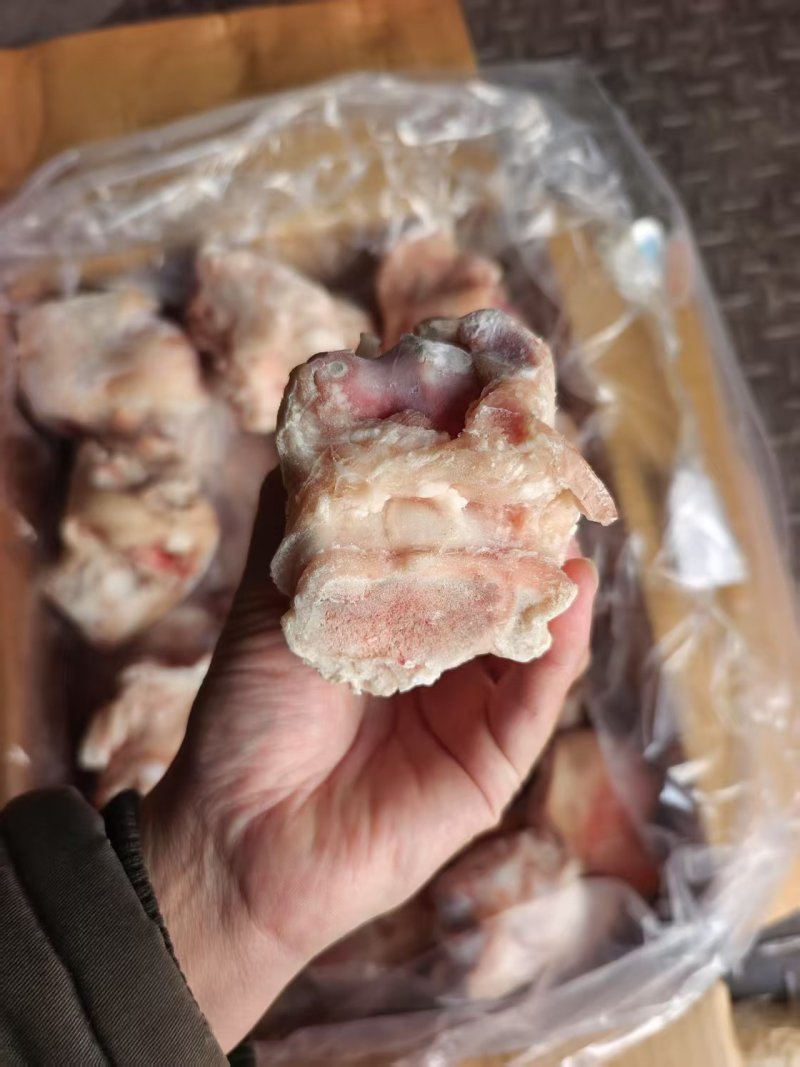 猪拐骨价格优美