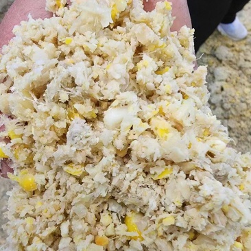 熟玉饲米‬料，湿‬料粉碎，适口性营好‬养价值高，降低五成成本