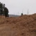 需要腐殖土，松针的老板联系我