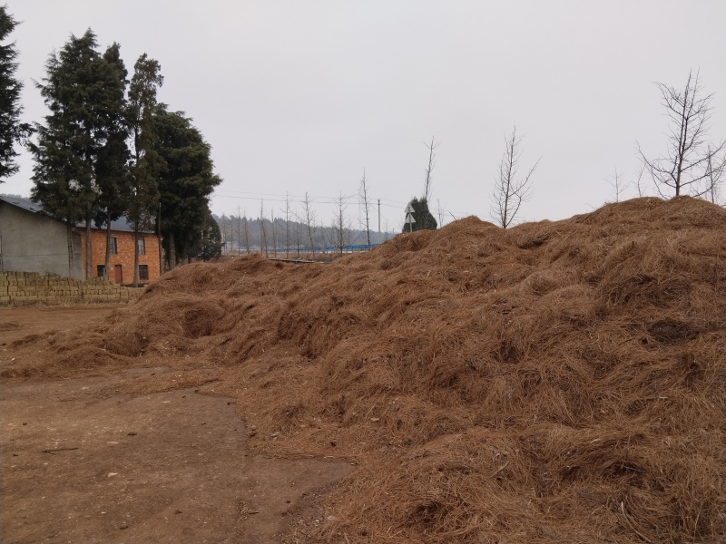 需要腐殖土，松针的老板联系我
