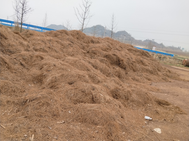 需要腐殖土，松针的老板联系我