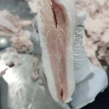 肉青