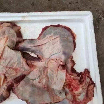 纯干护心肉