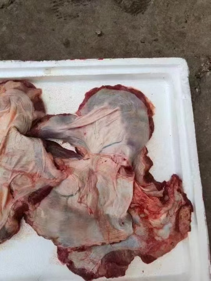 纯干护心肉