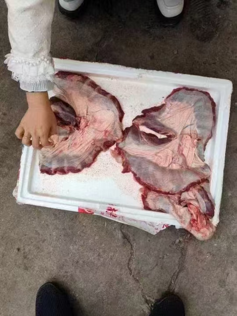 纯干护心肉