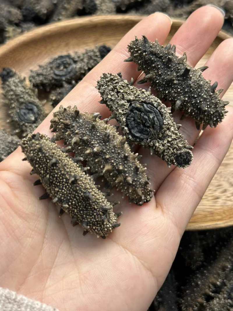 大连纯淡干海参涨发15倍以上规格齐全可代工