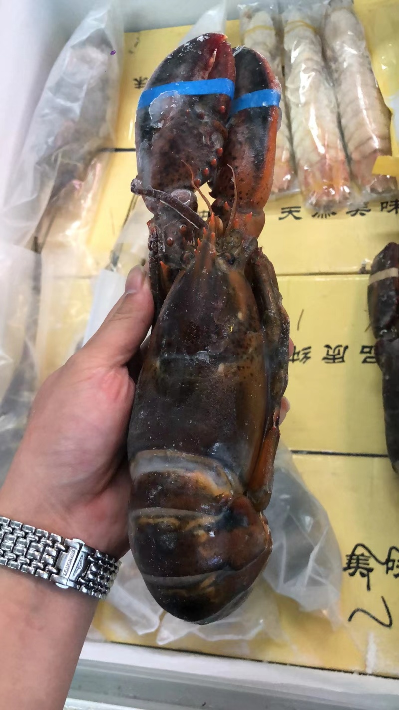 波士顿龙虾