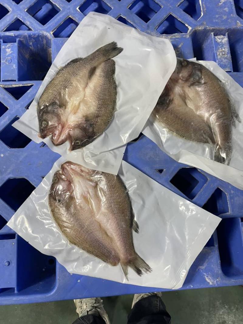 开背三去鲈鱼