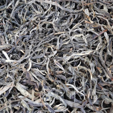 普洱晒青毛茶，普洱生茶，烘青毛茶，厂家直供