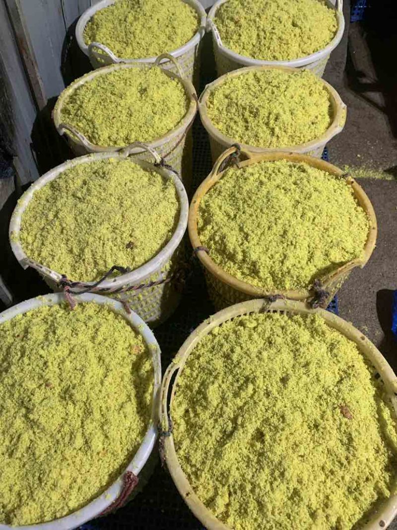 【热卖】南姜粉新鲜大量现磨新鲜日期货源充足欢迎咨询