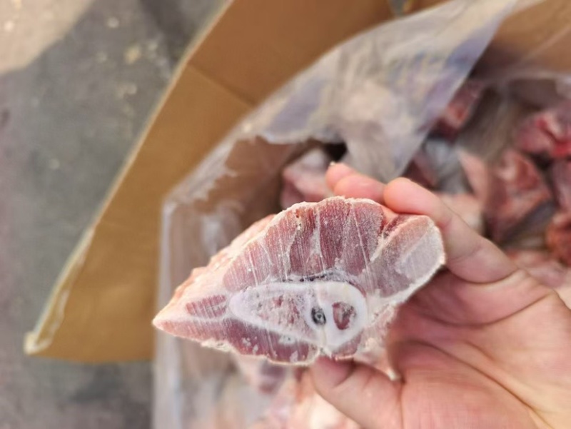 多肉腿骨块