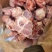 多肉腿骨块
