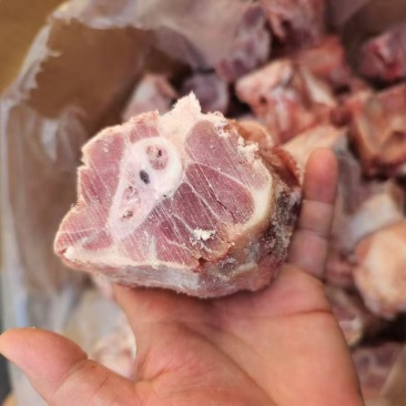 多肉腿骨块