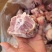 多肉腿骨块