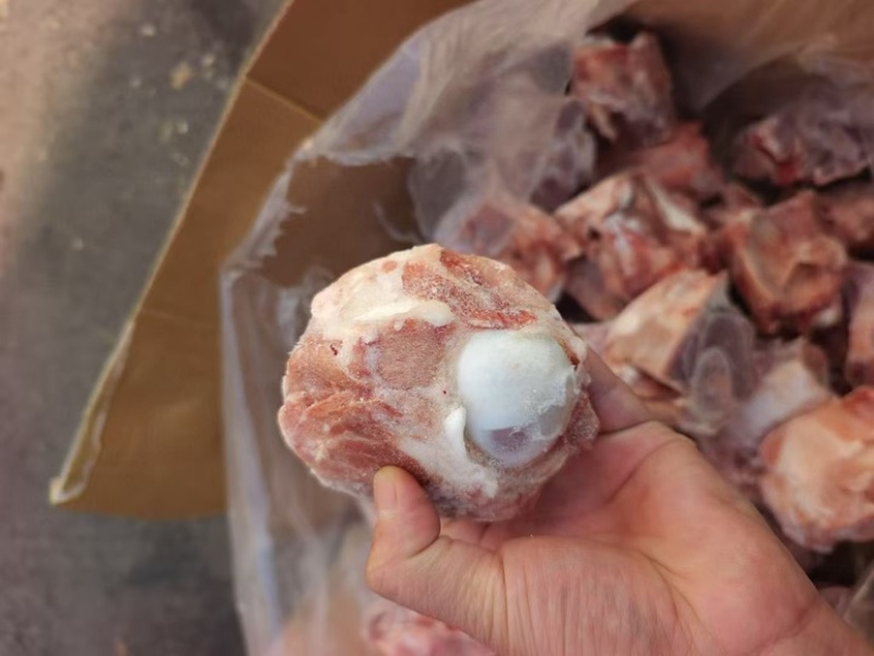 多肉腿骨块