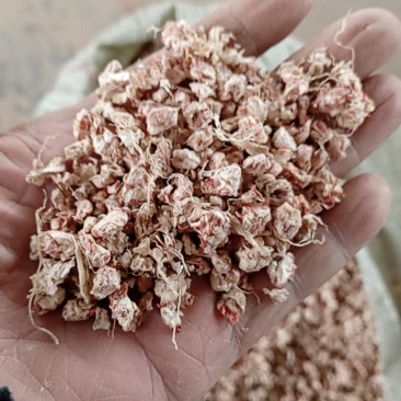 玉米芯颗粒