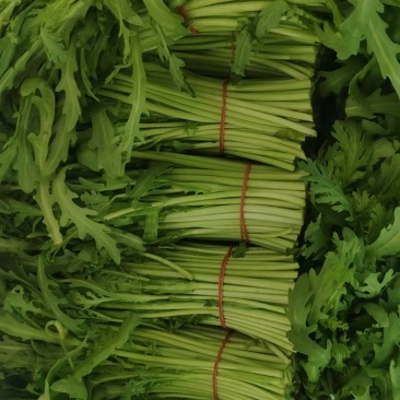 茼蒿