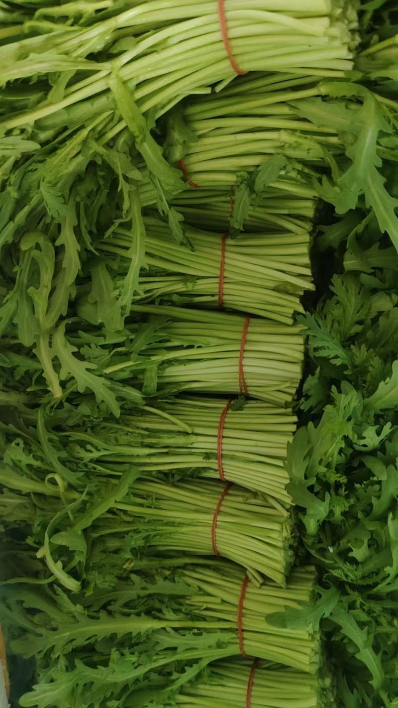 茼蒿
