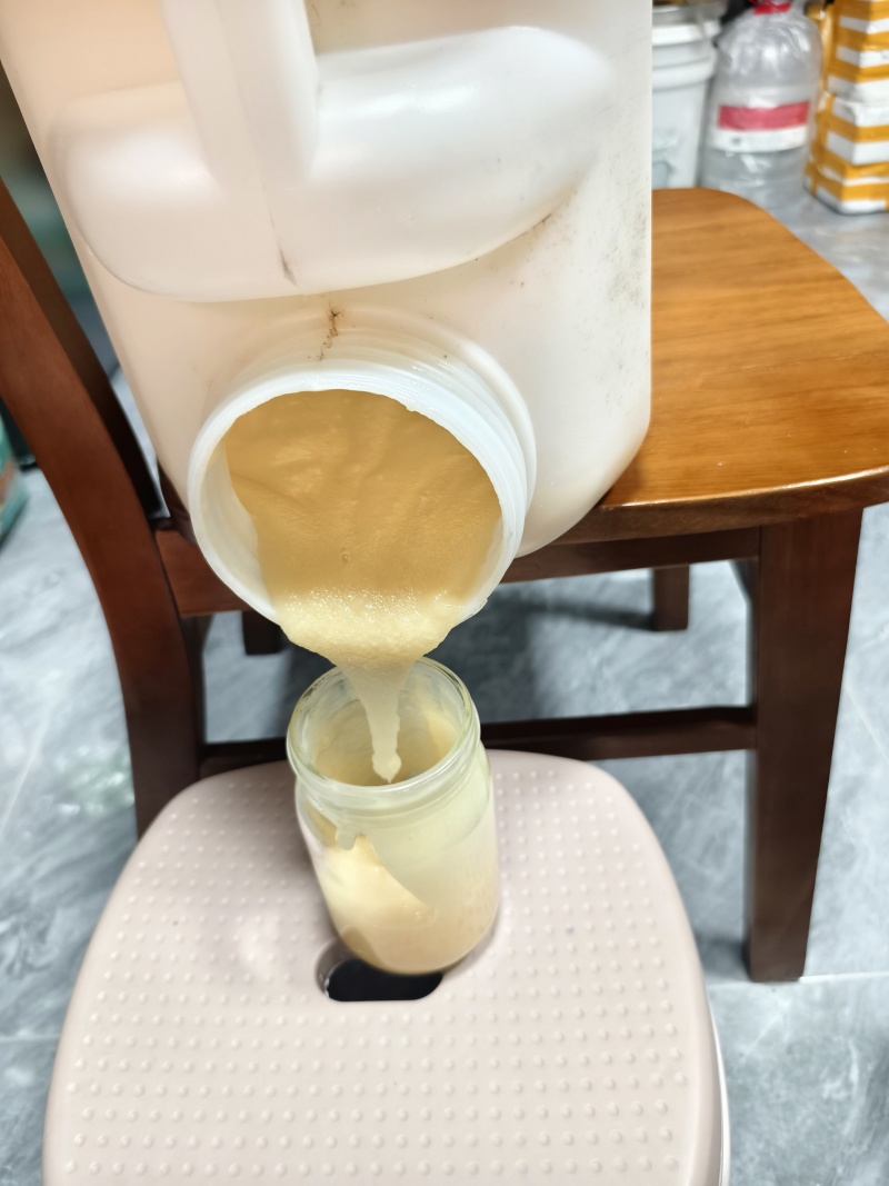 鸭脚木冬蜜，大山放养，不喂糖百分百纯蜂蜜