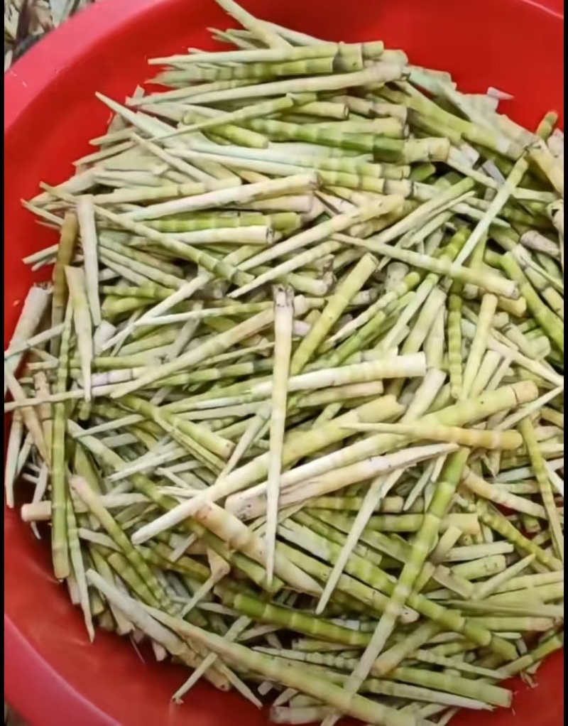 精品水竹笋雷竹笋等各类笋皮薄肉厚，现挖现发，大量供应