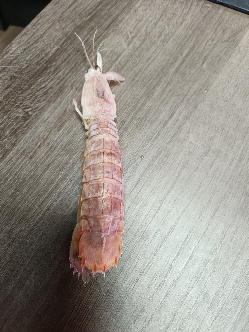 东海熟冻皮皮虾