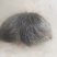 猪宝药材