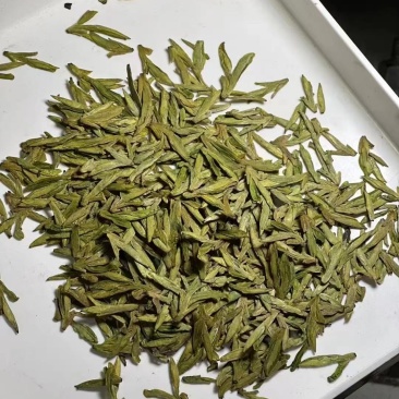 杭州西湖龙井土茶乌牛早
