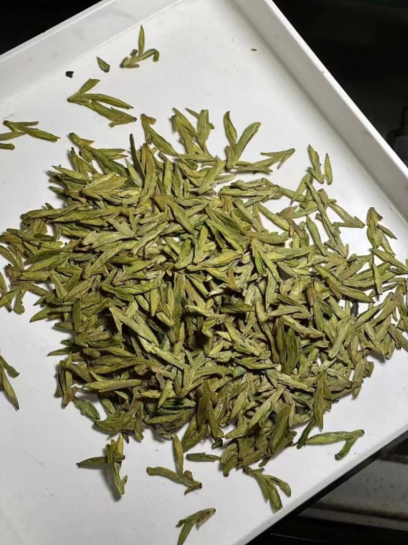杭州西湖龙井土茶乌牛早