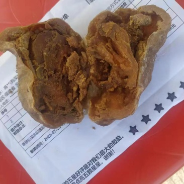 鸡宝