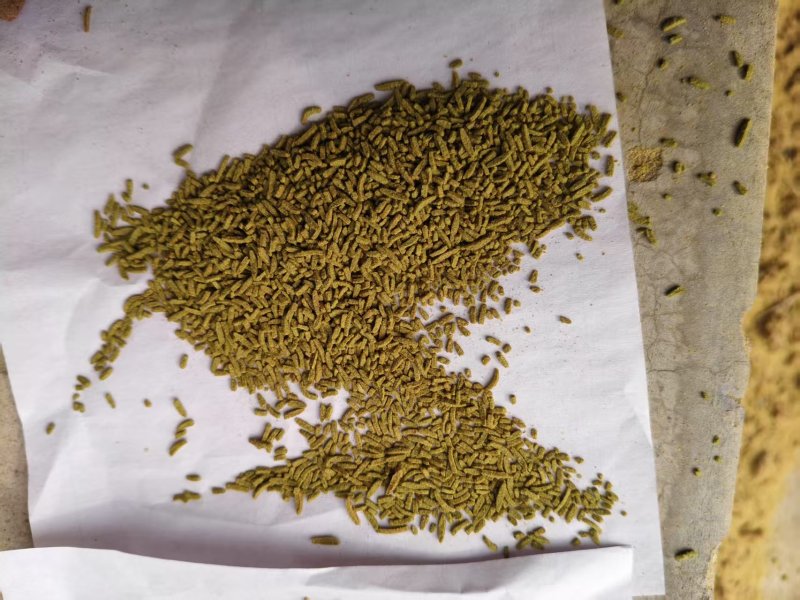 孜然粉孜然饼孜然碎25公斤/袋