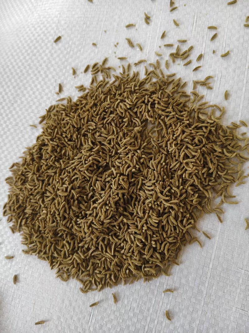 孜然粉孜然饼孜然碎25公斤/袋