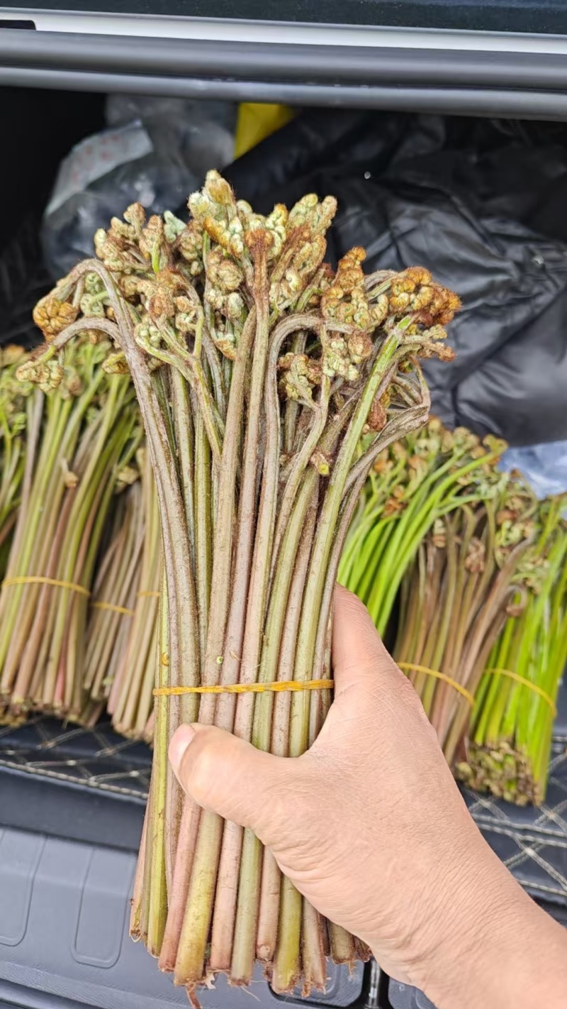 甜撅量大，需要的老板联系我