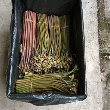 甜撅量大，需要的老板联系我