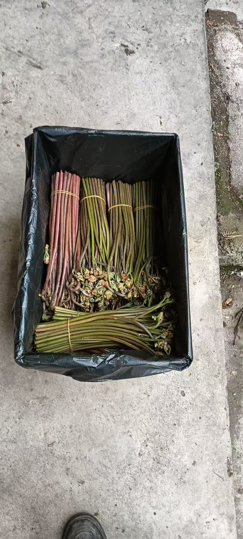 甜撅量大，需要的老板联系我
