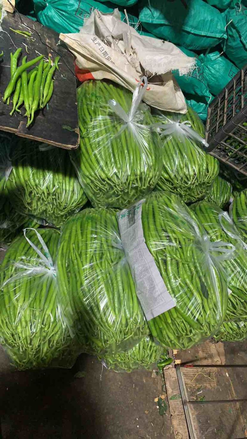 线椒，二荆条，太阳花玉米大量上市