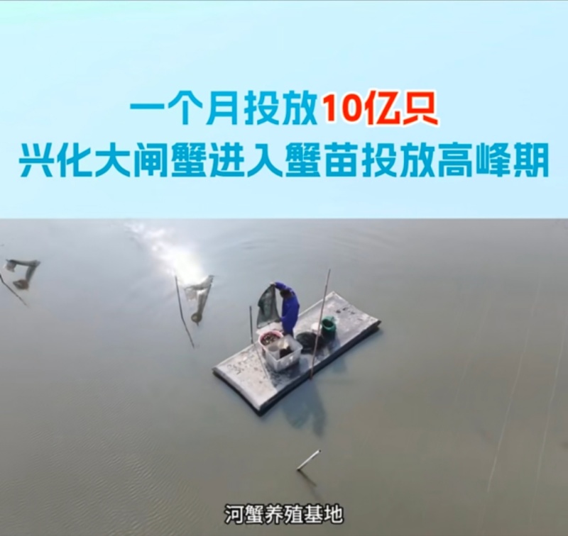 吃完成熟蟹→吃老头蟹吃童子蟹​其实我们可以几乎说一年四季有