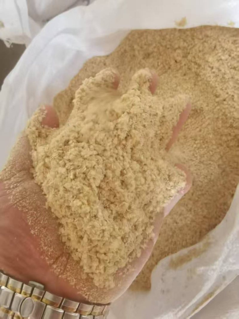 玉米面
