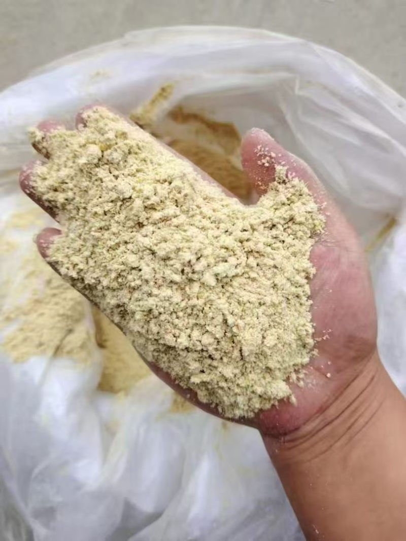 玉米面
