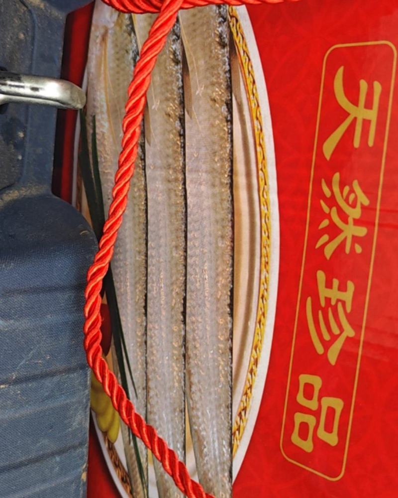 刀鱼