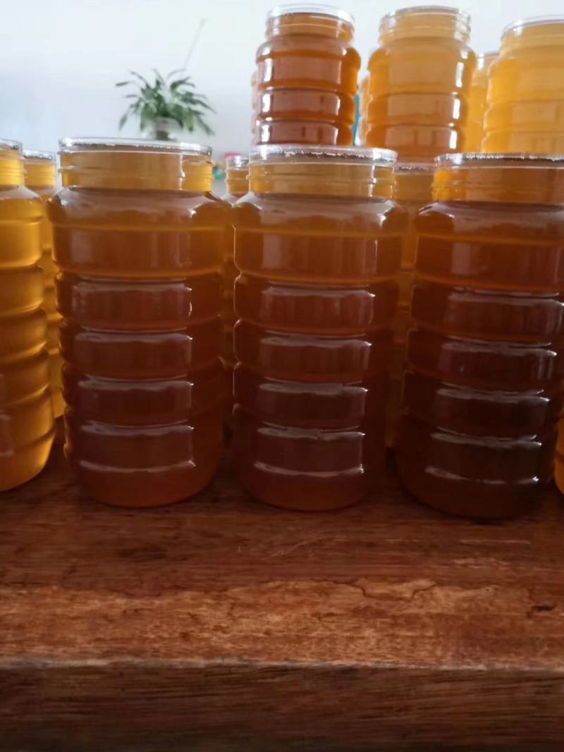 云南野生百花蜂蜜