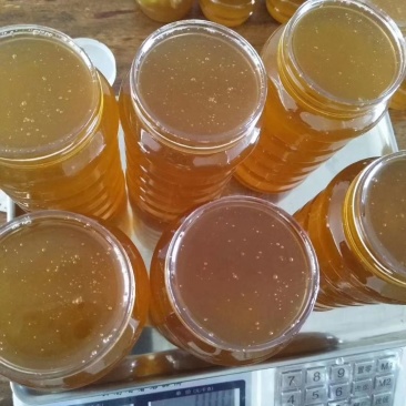 云南野生百花蜂蜜