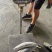 灯光围网金枪鱼（炸弹鱼，西瓜皮）