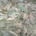 四川青叶枇杷叶大量供应产地直发方便运输欢迎选购