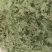 柏树叶，可以制香，也可以提炼成洗护用品
