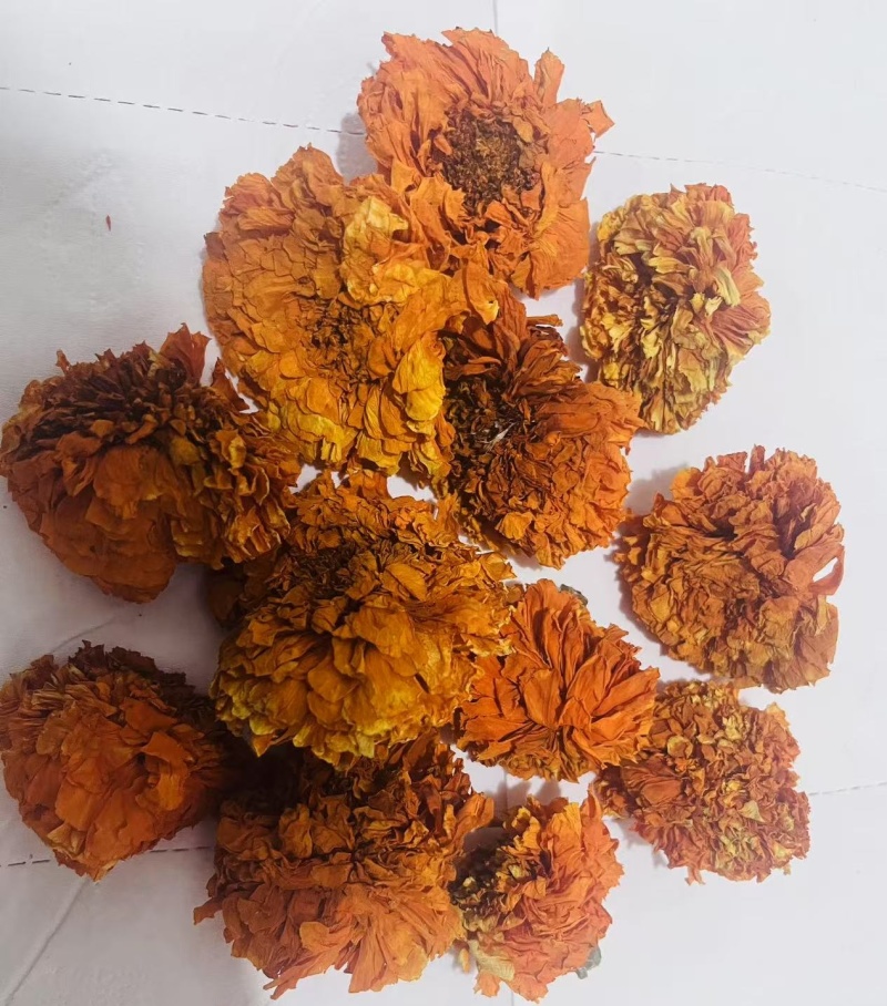万寿菊