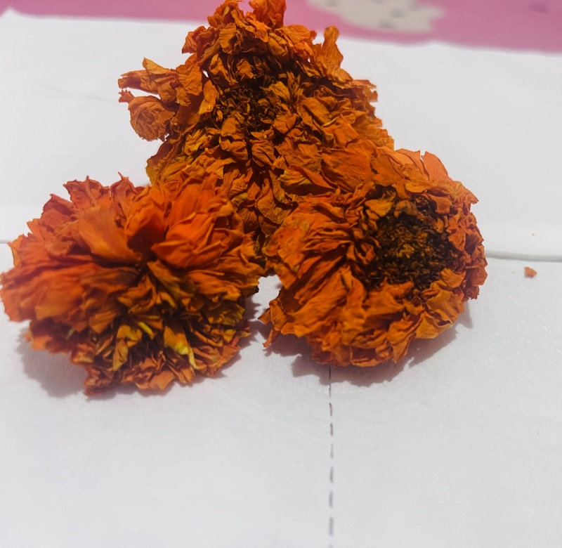 万寿菊
