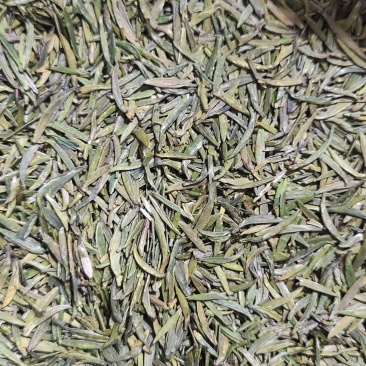 汉中仙毫茶叶