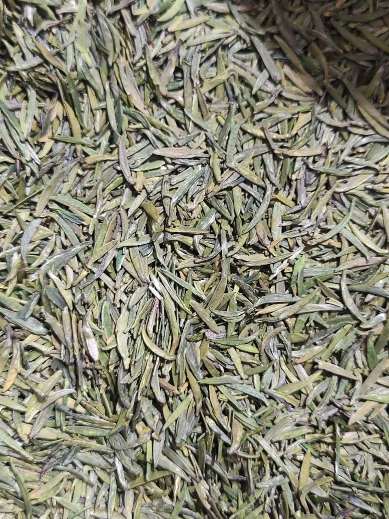 汉中仙毫茶叶