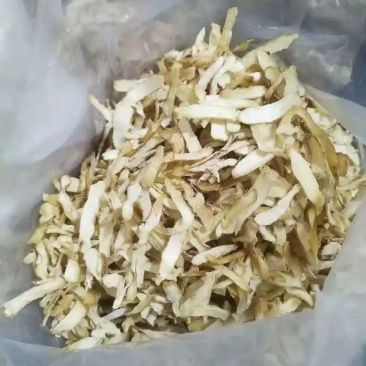 王竹