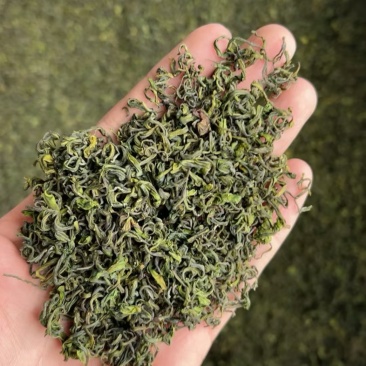 细培安吉白手工有1000斤，只做批发不零售